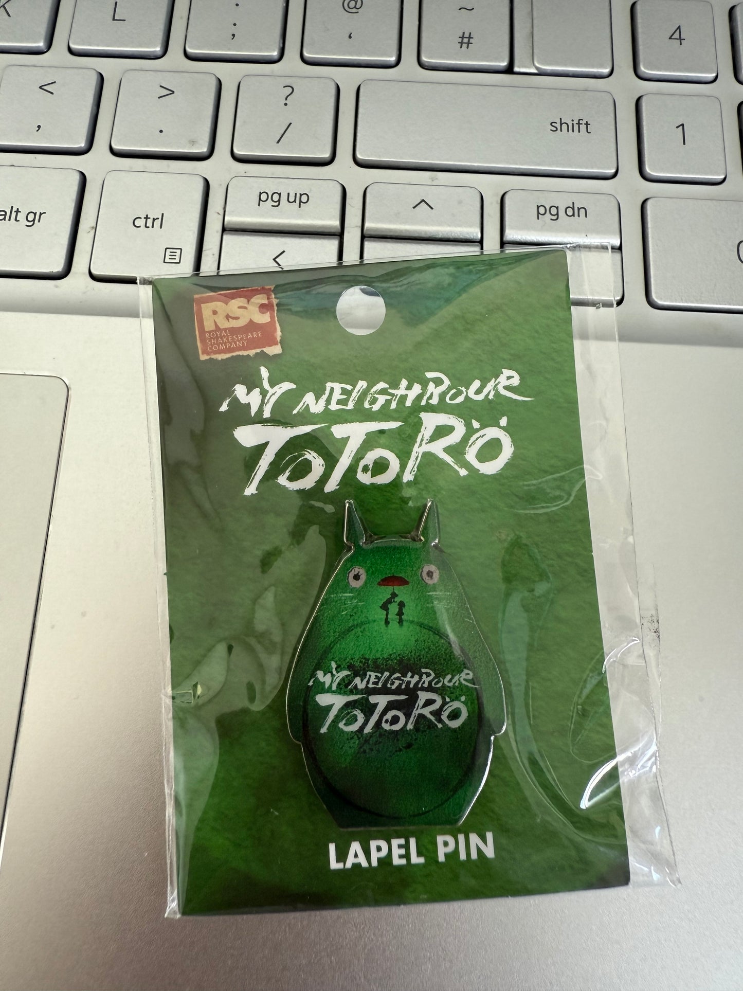 My Neightbout Totoro Pins