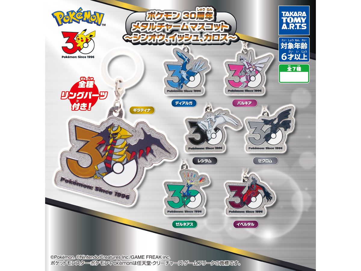 Pokemon 30th Anniversary Metal Charm Mascot -Sino, Unova, Kalos - Blind Pulls